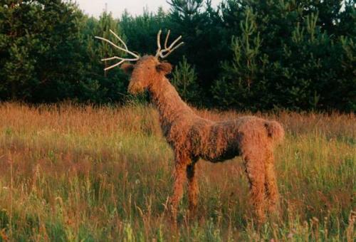 Сделать оленя своими руками. Как сделать оленя своими руками 10 Сделать оленя своими руками. Как сделать оленя своими руками 10