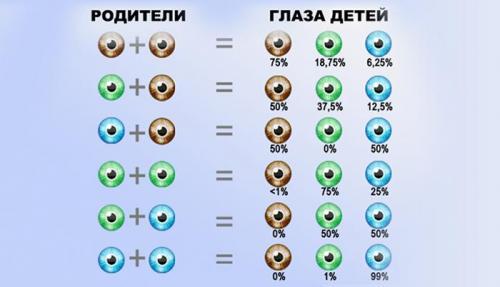 Шок , как можно поменять цвет глаз в домашних условиях. От чего зависит её цвет