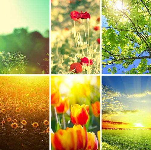 Цветотип теплая весна. Палитра цветотипа теплая весна