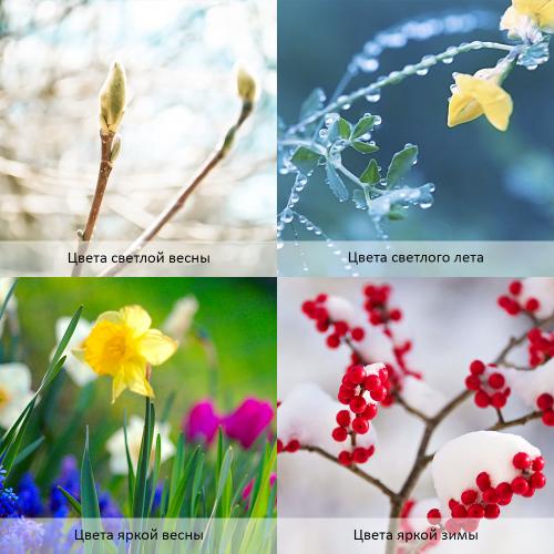 Цветотип теплая весна. Палитра цветотипа теплая весна