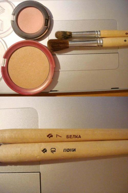 Кисти для макияжа, как подобрать. Виды кисточек для макияжа 12