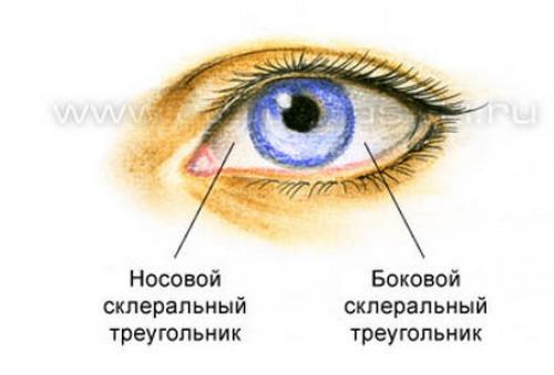 Подвижное веко где это. Макияж для нависшего века. Схемы в картинках 04