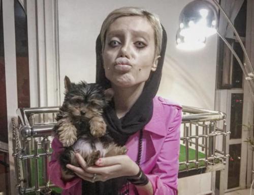 Превращение в Анджелину Джоли. Иранка горела желанием превратиться в Анджелину Джоли (17 фото)