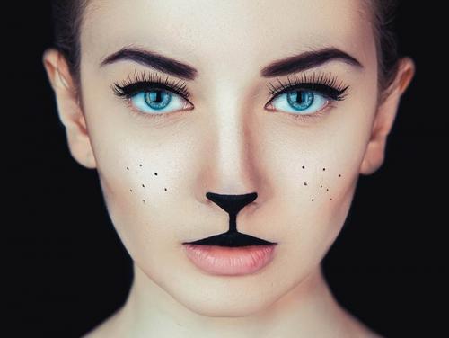 Грим кошки на лице для детей. Как нарисовать мордочку кошки на своем лице: идеи и техника