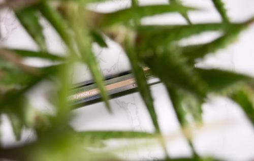 Тушь для бровей мейбелин Brow Precise. Maybelline Brow Precise Dark Blonde