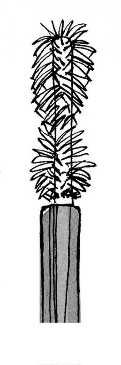 Щеточка для ресниц, какая лучше. Как правильно выбрать щеточку для ресниц? 17