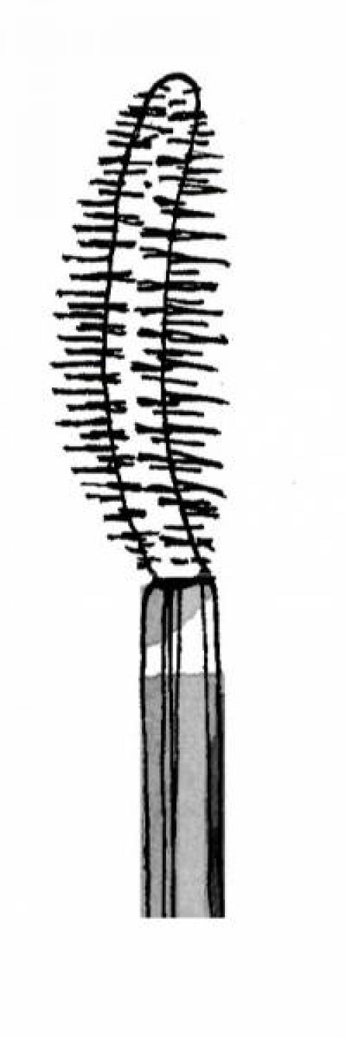 Как выбрать щеточку туши для ресниц. 7 видов кисточек для туши: как в них разобраться?