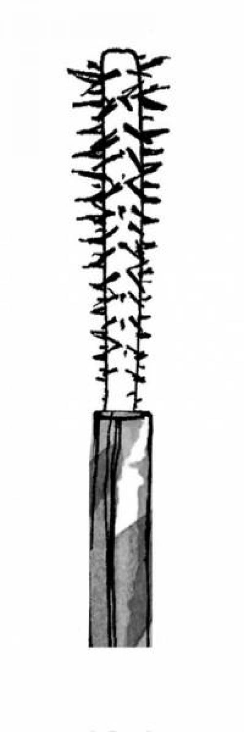 Как выбрать щеточку туши для ресниц. 7 видов кисточек для туши: как в них разобраться?