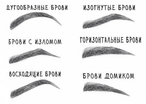 Как придать бровям правильную и красивую форму в домашних условиях. Как придать бровям красивую форму?