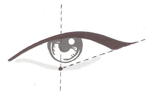 Деловой макияж со стрелками. Учимся макияжу у визажистов: как рисовать стрелки