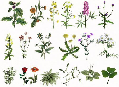 Хорошо маскирующий прыщи тональный крем. Советы при выборе тонального средства 05 Хорошо маскирующий прыщи тональный крем. Советы при выборе тонального средства 05