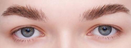Тушь для бровей лучшая. Тушь для бровей: обзор лучших