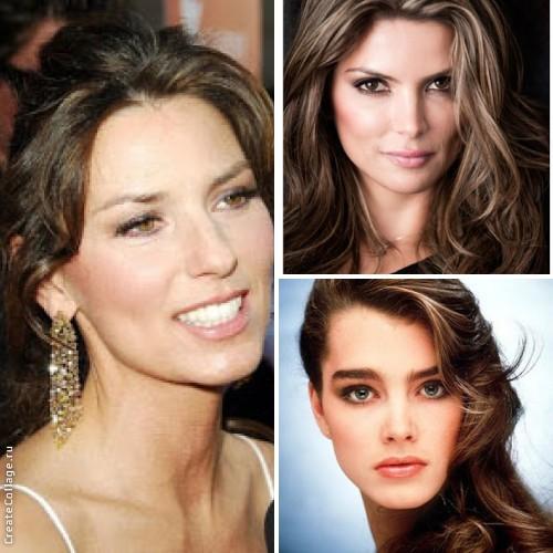 Цветотип Зима, подтипы, фото