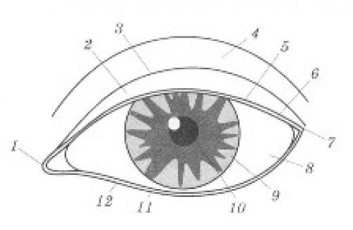 Основы макияжа для себя. Пошаговые уроки макияжа для начинающих