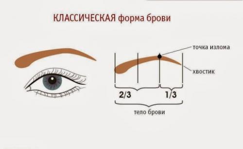 Коррекция бровей дома пошагово. Правильная коррекция бровей: способы, в домашних условиях пошагово, фото до и после