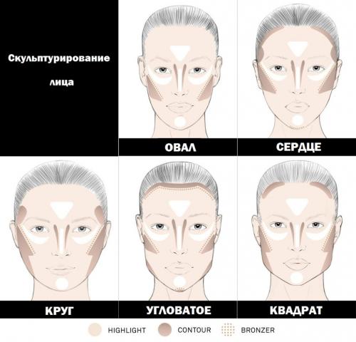 Как наносить румяна, чтобы подчеркнуть скулы. Как выделить скулы румянами: советы для разной формы лица