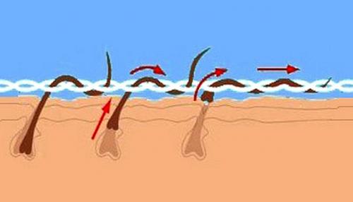 Как сформировать правильно брови. Популярные варианты формы бровей 06 Как сформировать правильно брови. Популярные варианты формы бровей 06