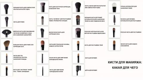 Лучшая кисть для нанесения теней. Виды кистей