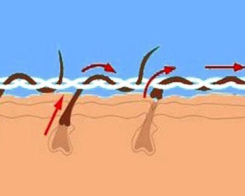 Тридинг бровей. Как делать тридинг в домашних условиях?