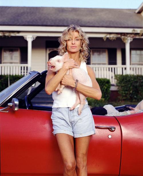 Идеальная фигура. Идеальные женские фигуры последних 60 лет (15 фото)