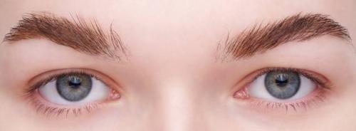 Лучшая тушь для бровей. Тушь для бровей: обзор лучших