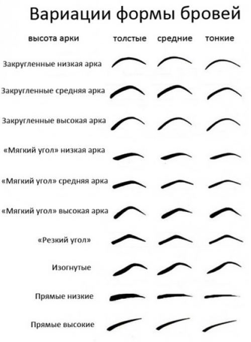 Как правильно сделать форму бровей. Тип внешности и форма бровей