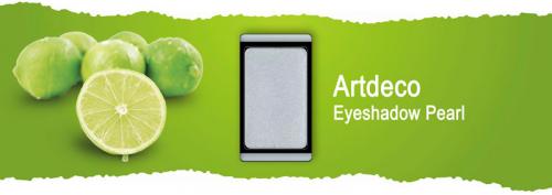 Тени для век профессиональные. Лучшие профессиональные тени