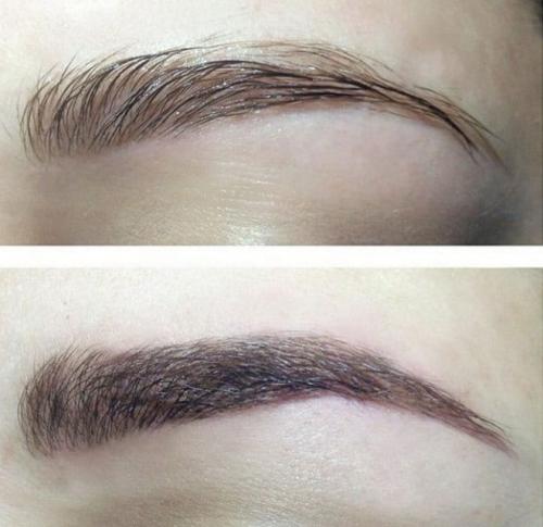 Как влияет касторовое масло на брови. Отзывы о применении касторового масла для ресниц и бровей