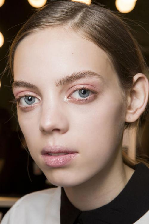 Легкий макияж тенями. Какая косметика понадобится для легкого макияжа? 15