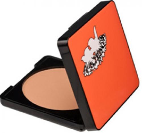 Пудра лечебная для лица. Какой должна быть лучшая пудра для жирной проблемной пористой кожи: мнение косметологов 10 Пудра лечебная для лица. Какой должна быть лучшая пудра для жирной проблемной пористой кожи: мнение косметологов 10