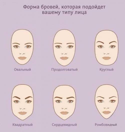 Разметка бровей для покраски. Как сделать брови в домашних условиях: форма, коррекция, покраска