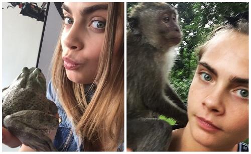 Как стать похожей на кару Делевинь. Кара Делевинь без макияжа, секреты красоты топ-модели