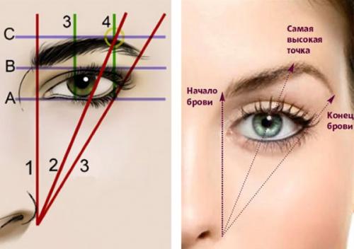 Как красить брови карандашом. Поэтапная инструкция