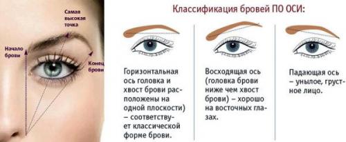 Скаус брови. Правила по подбору формы бровей