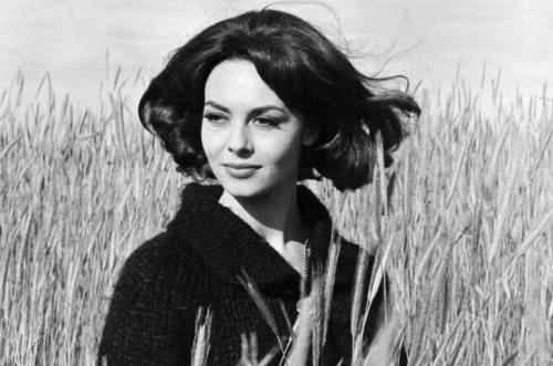 Мишель Мерсье детство и юность