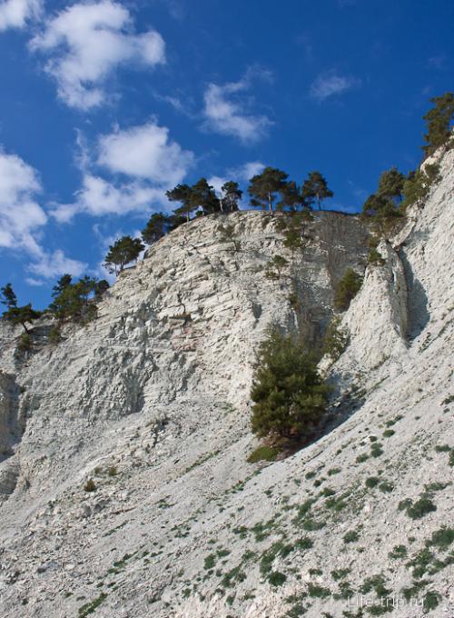 Дикий пляж на Черном море — фото прогулка в поисках красоты