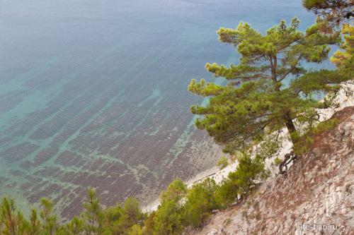 Дикий пляж на Черном море — фото прогулка в поисках красоты