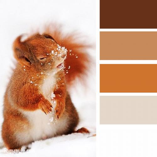 Холодные оттенки теней. как подобрать коричневые тени