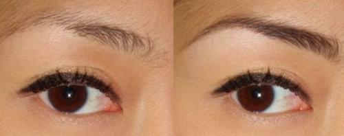 Как отрастить брови касторовым маслом. Отзывы о применении касторового масла для ресниц и бровей