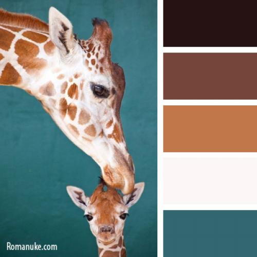 Холодные оттенки теней. как подобрать коричневые тени