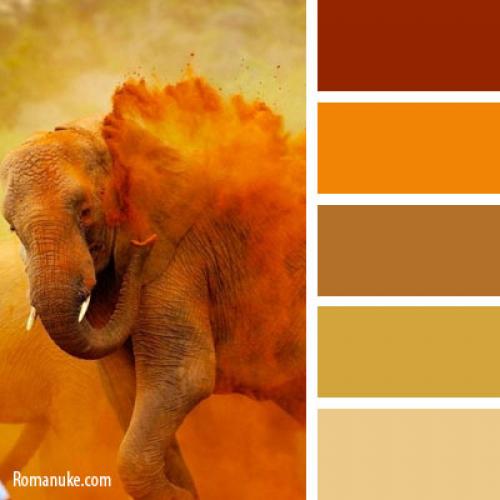 Холодные оттенки теней. как подобрать коричневые тени