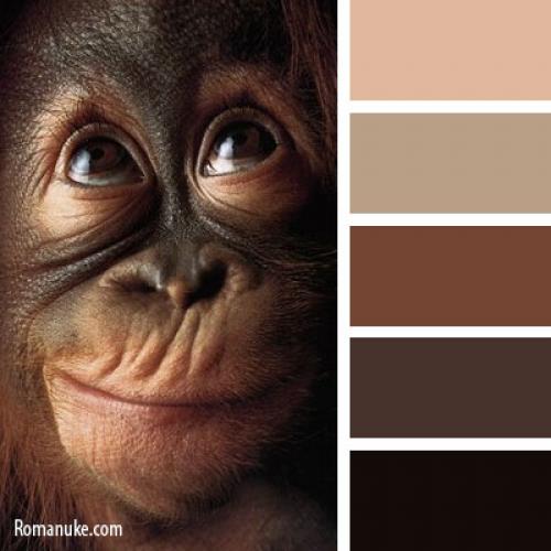 Холодные оттенки теней. как подобрать коричневые тени