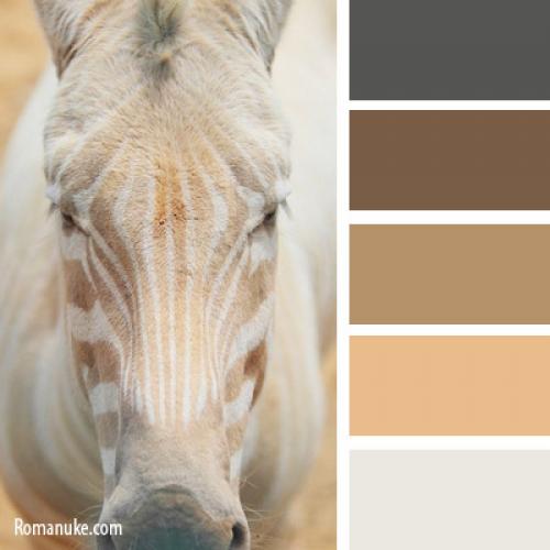 Холодные оттенки теней. как подобрать коричневые тени