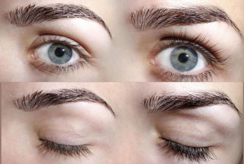 Лайфхак, как отрастить брови. Как отрастить шикарные брови – без татуажа и карандаша: «лайфхак» с чесноком