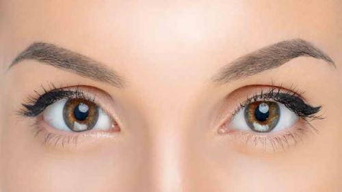 Как отрастить брови гуще. Густые брови