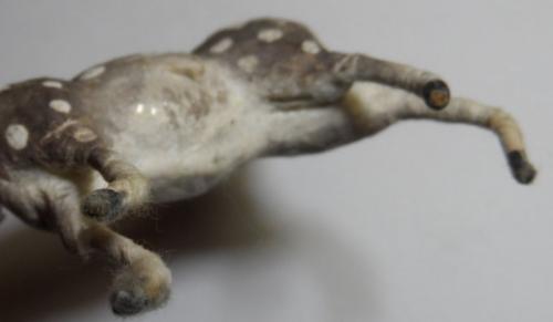 Как сделать оленьи рога своими руками из картона. Как сделать оленя: схемы и оригинальные идеи. Подробные мастер-классы, как сделать оленя из проволоки, фетра, бумаги, в технике квиллинг. 90 фото самодельного новогоднего символа