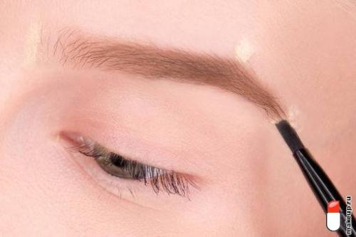 Кисти для макияжа для новичка. 6 кистей для макияжа, которые должны быть у каждой девушки