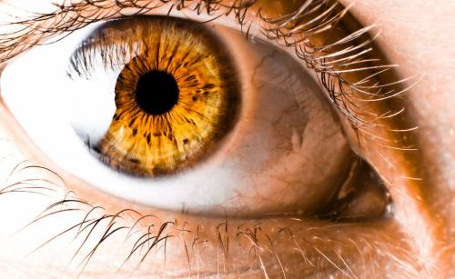 Серые глаза. О чем говорит твой цвет глаз