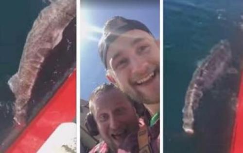 Макияж 1960 х годов. Женский макияж 1960 года против 2014