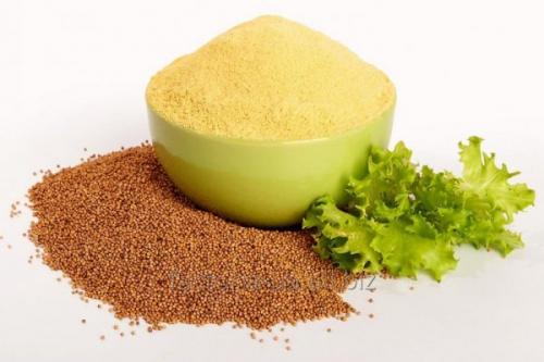 Маска из горчицы для жирных волос. Спасение для жирных волос: горчичная маска